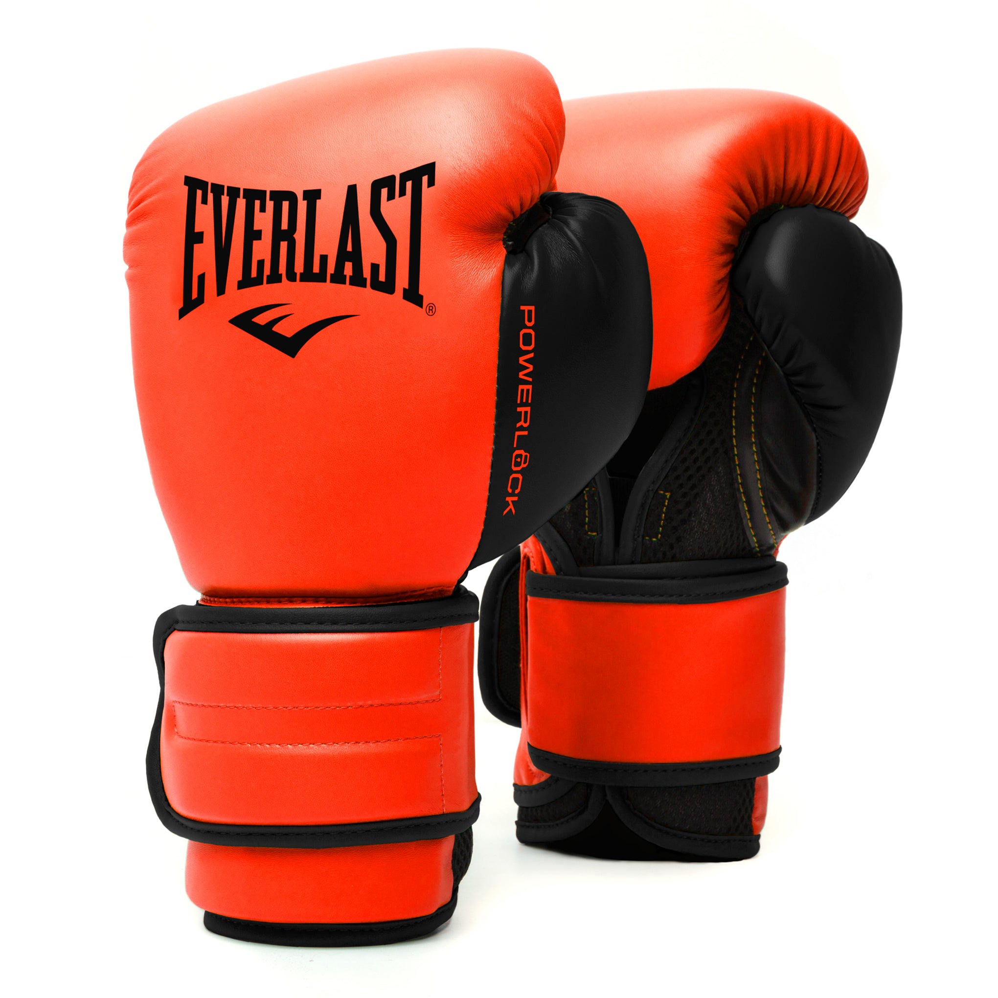 ボクシング Everlast Elite Training Gloves 12oz ELITE2BOXINGGLOVES-