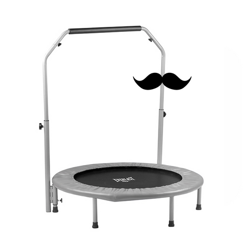 Everlast Ascent Indoor Spinner