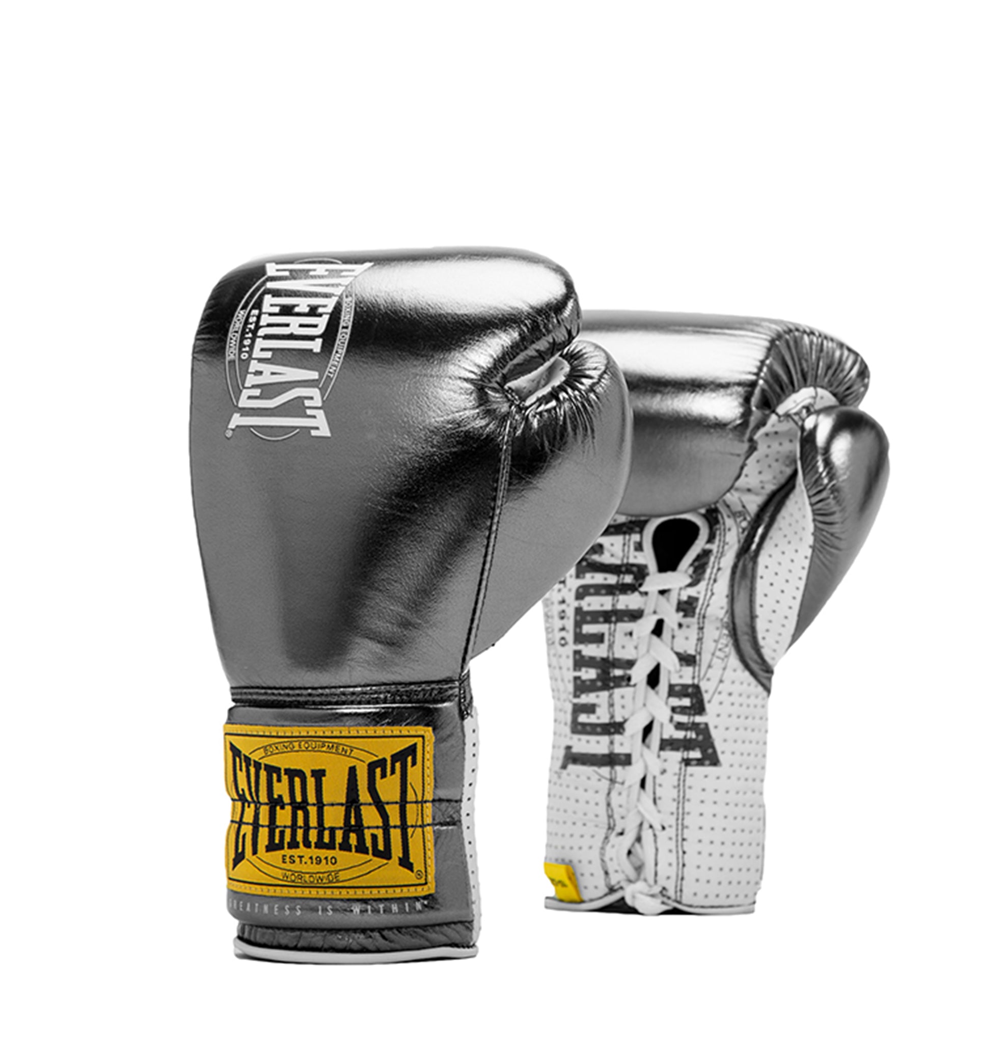 Everlast 1910 Pro Fight Leather Gloves – Gun Metal – Everlast